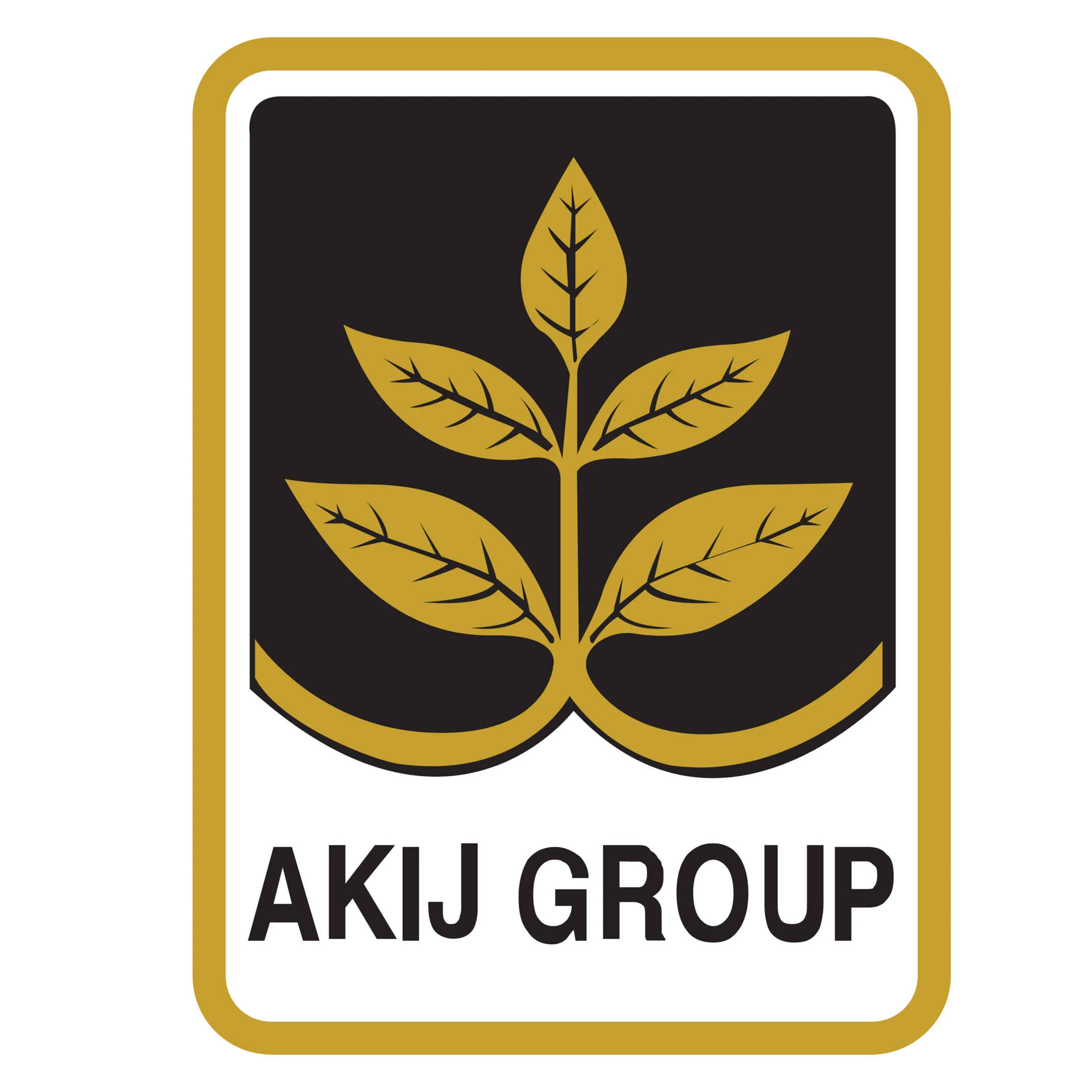 Akij Group All Product